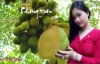 Thơ: KHÔNG TRÒN